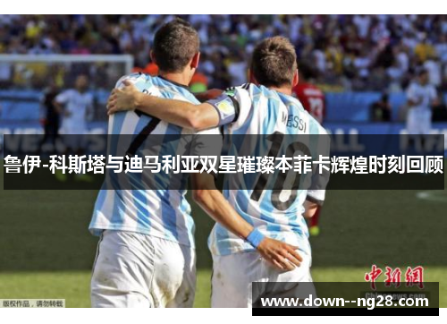 鲁伊-科斯塔与迪马利亚双星璀璨本菲卡辉煌时刻回顾